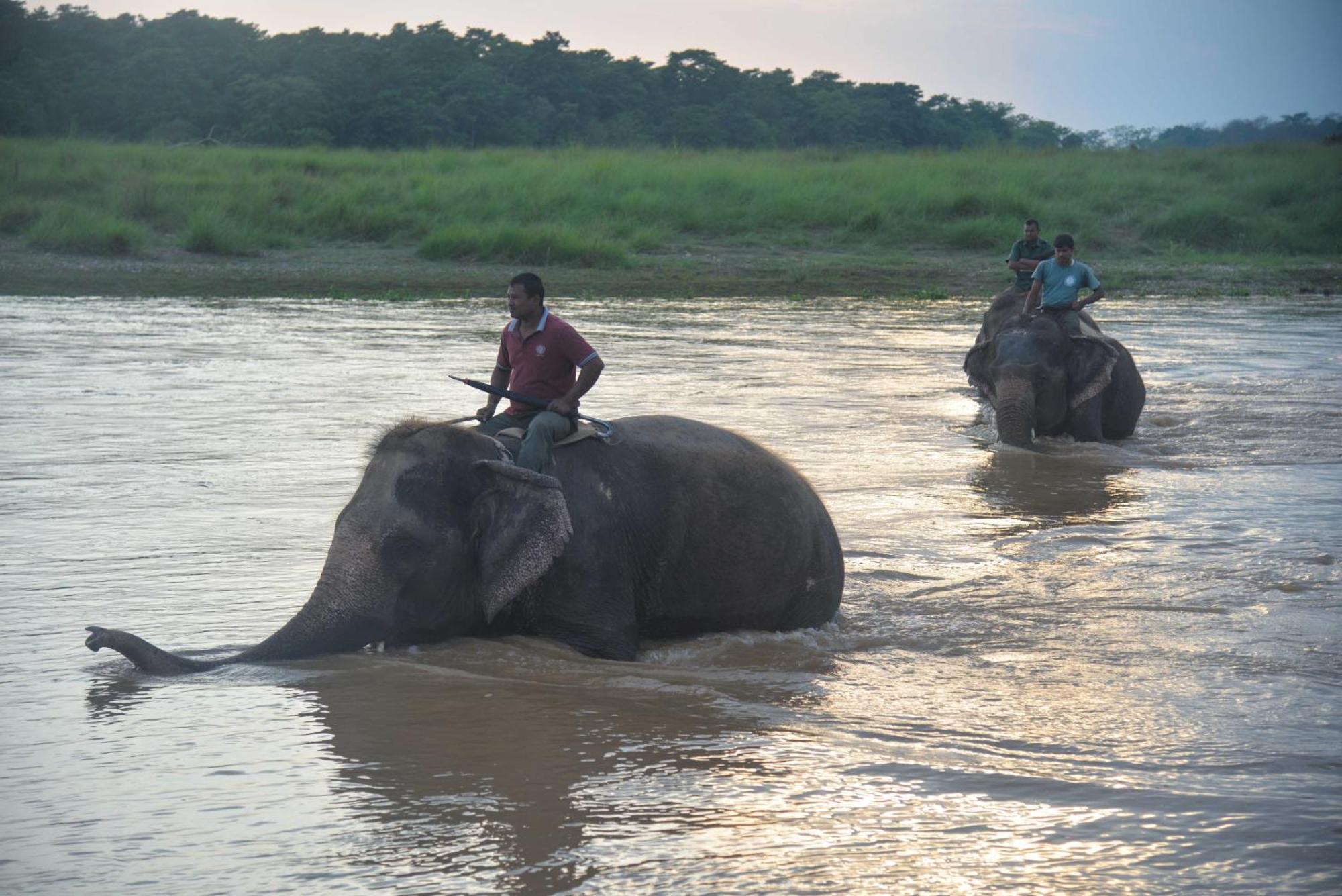 Greenland Safari, Sauraha Eksteriør billede
